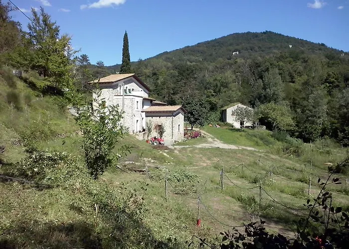 Di La Dall'acqua Fivizzano