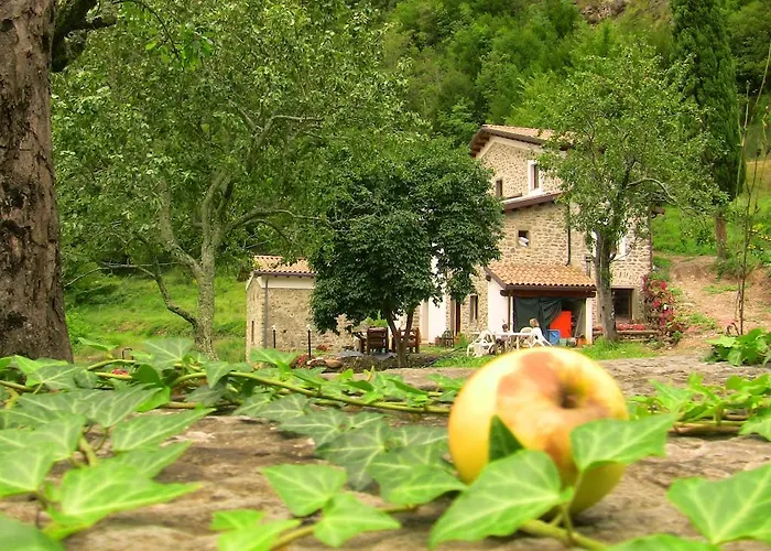 Farma Di La Dall'acqua